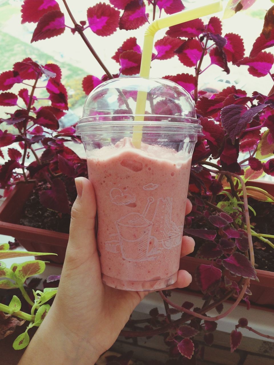 person, holding, freshness, personal perspective, part of, food and drink, cropped, lifestyles, flower, drink, unrecognizable person, refreshment, leisure activity, leaf, drinking glass, pink color