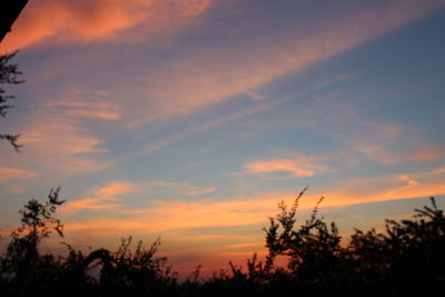 Silhouette trees against sky during sunset