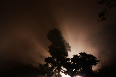 Low angle view of silhouette trees against sky at night