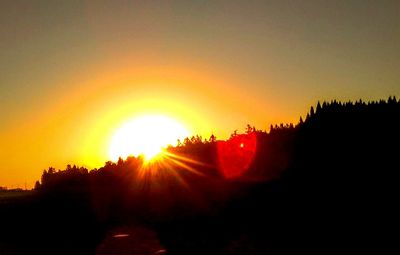 Silhouette of trees at sunset