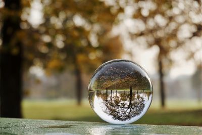 Close-up of crystal ball on glass