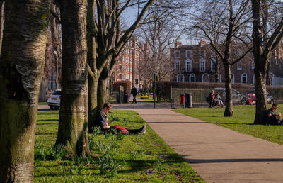 Trees and plants in park by buildings in city