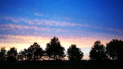 Silhouette trees on landscape against sky