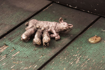 High angle view of stuffed toy on bench