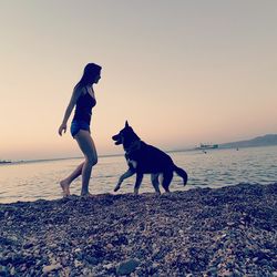 Side view of woman playing with dog at beach against clear sky