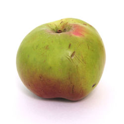 Close-up of apple against white background