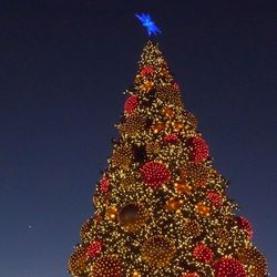 Low angle view of illuminated christmas tree against sky