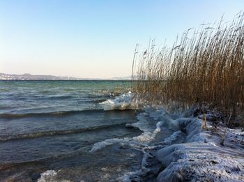 Scenic view of sea against clear sky