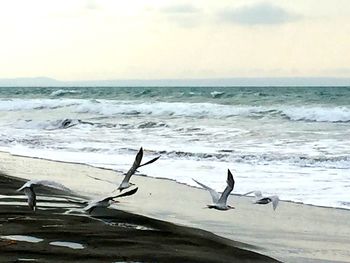 Scenic view of sea against sky