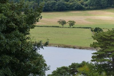 Scenic view of lake