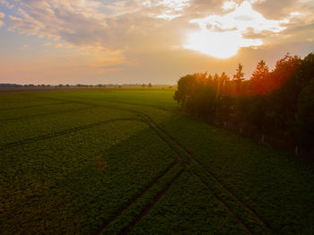 Scenic view of field against sky during sunset