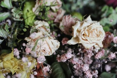Close-up of rose bouquet