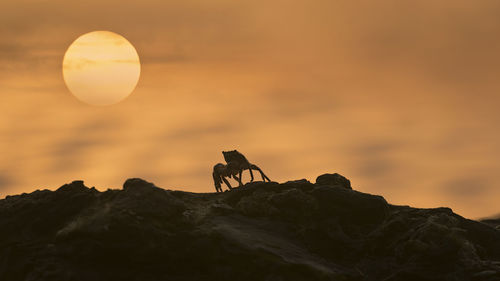 Silhouette man on rock against sky during sunset