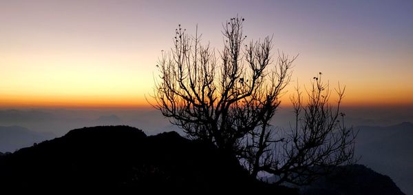 Silhouette tree against sky during sunset