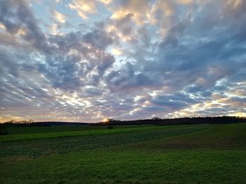 Scenic view of field against sky during sunset