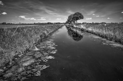 Scenic view of landscape against cloudy sky