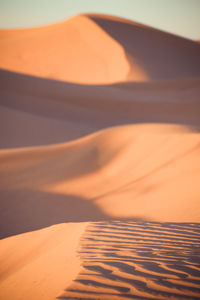 Sand dune in desert