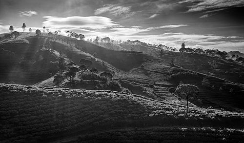 Scenic view of landscape against sky