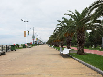 Empty road by palm trees against sky