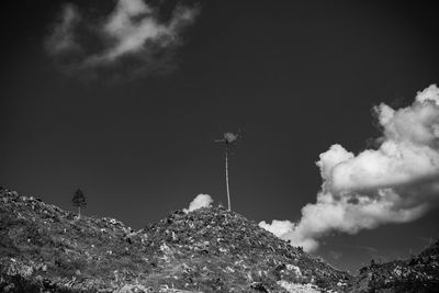 Low angle view of plants against sky