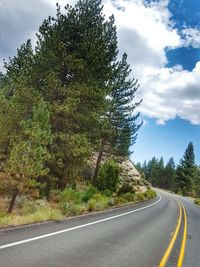 Empty road along trees