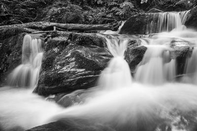 View of waterfall in forest