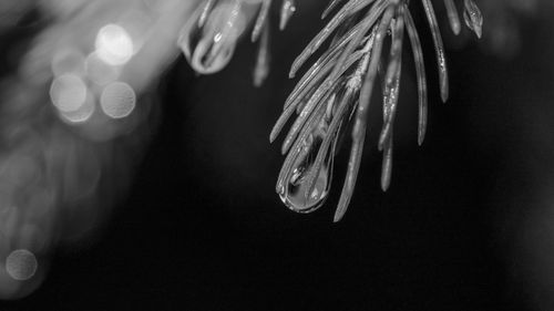 Close-up of water drops on the sea