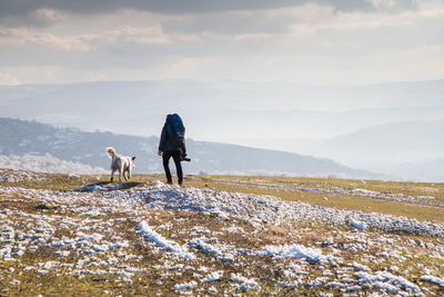 Dog standing on snow covered landscape against sky