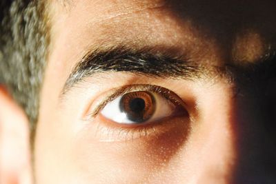 Close-up of man eye