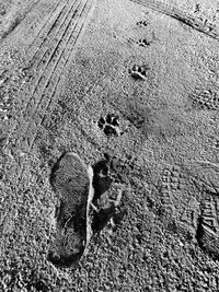 Full frame shot of tiled floor