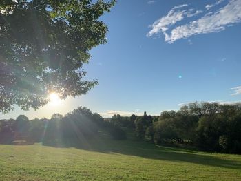 Scenic view of field against bright sun