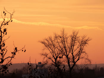 Silhouette bare tree against sky during sunset