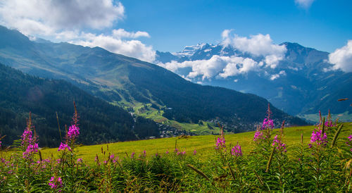 Scenic view of purple mountains against sky