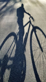 Shadow of people riding bicycle on road