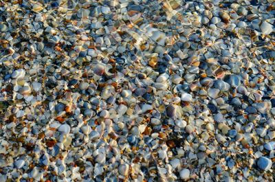 Full frame shot of pebbles on beach