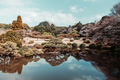 Reflection of trees and rocks in lake against sky