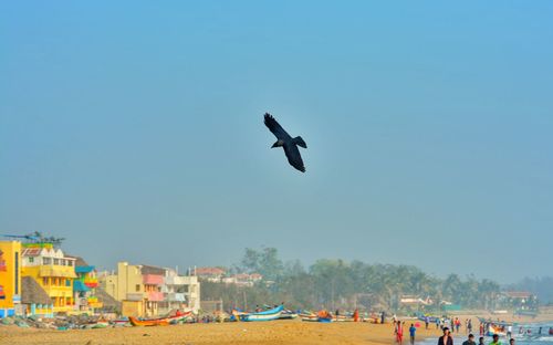 Airplane flying over sea against clear sky