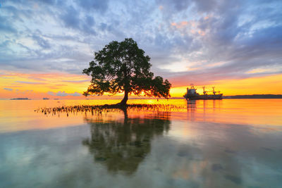 Silhouette tree by sea against sky during sunset