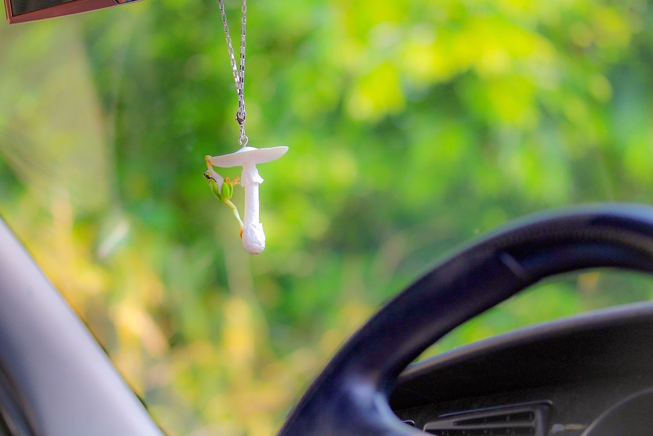 focus on foreground, close-up, hanging, metal, no people, day, transportation, part of, outdoors, selective focus, mode of transport, flying, transparent, glass - material, metallic, green color, window, tree, mid-air