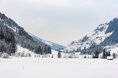 Winter mountain landscape in the alps. the valley, meadow, trees and mountains covered with snow.
