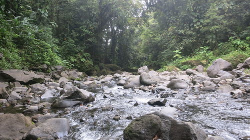 Rocks by river stream in forest