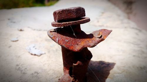 Close-up of man holding umbrella