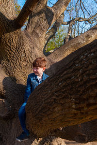 Low section of boy on rock by tree