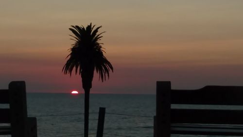 Silhouette palm tree on beach against sky during sunset