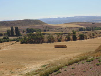 Scenic view of farm against clear sky