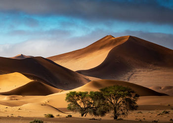 Scenic view of desert against sky