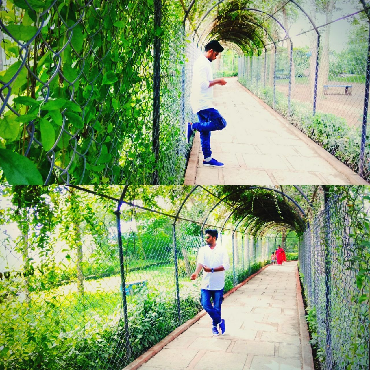 MAN STANDING ON TREE