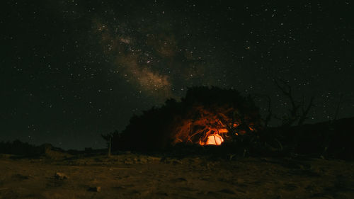 Camping under a sky full of stars