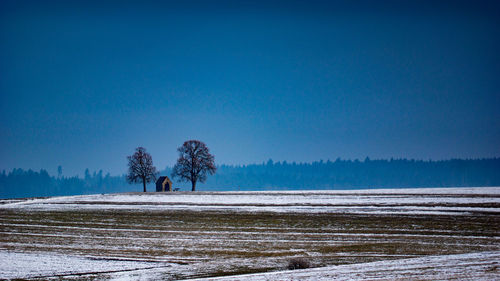 Scenic view of snow field against clear blue sky