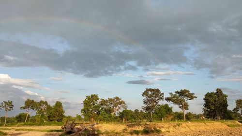 Scenic view of rainbow over trees on field against sky